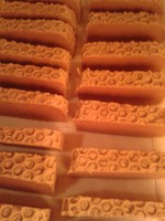 /album/fotogaleria/a2013-04-13-11-39-09-jpg1/